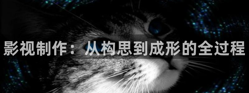 yy4480青苹果青苹果影院：影视制作：从构思到成形的全过程