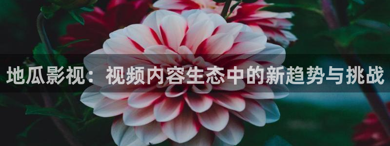 yy4480黄色：地瓜影视：视频内容生态中的新趋势与挑战