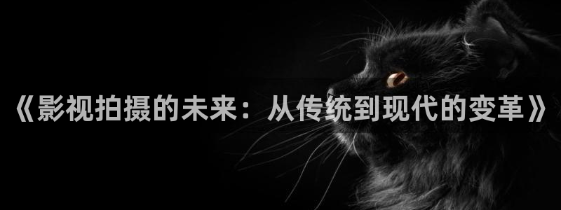 yy4480天昊：《影视拍摄的未来：从传统到现代的变革》