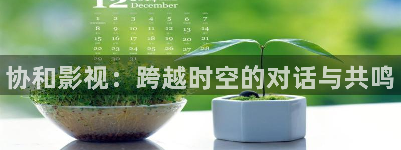 yy4480樱桃：协和影视：跨越时空的对话与共鸣