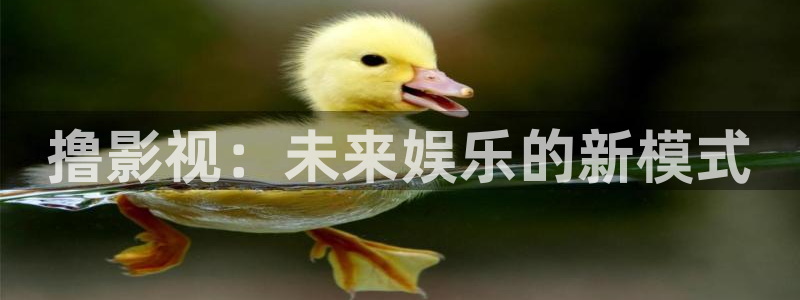 yy4480免费：撸影视：未来娱乐的新模式